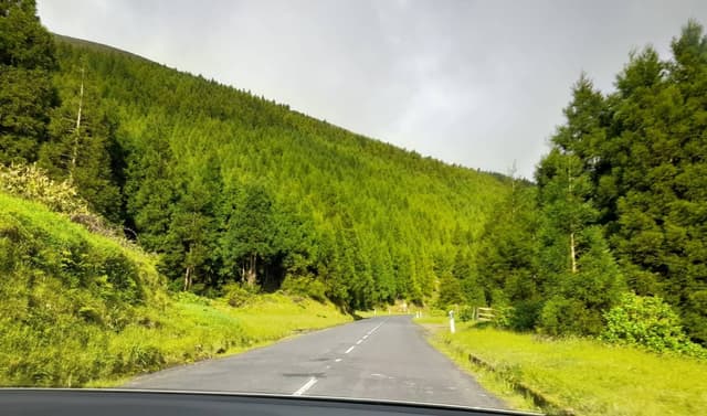 Foto 2 de Ana Sofia R. sobre o aluguer de um Volkswagen Polo em Ponta Delgada (13/05/24)