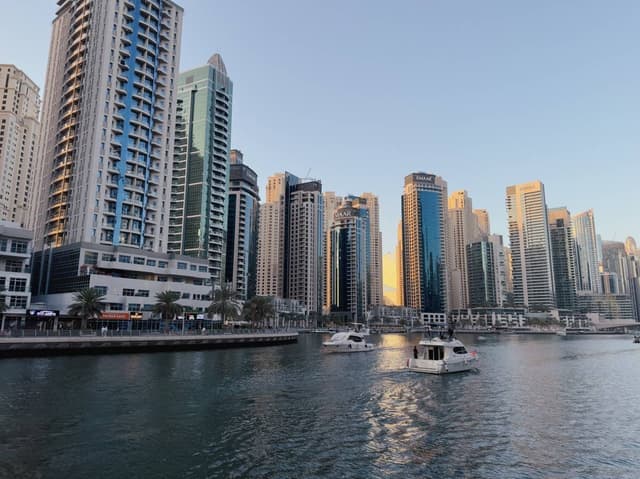 Photo 2 by Alexandru-Cezar S. (2/27/26)