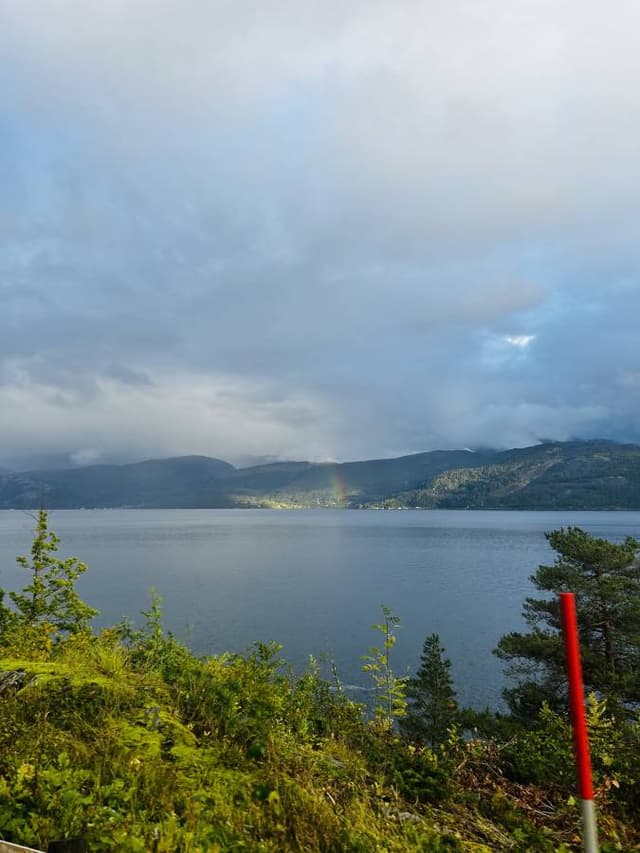 Bilde 1 av Vibeke S. (16.9.24)