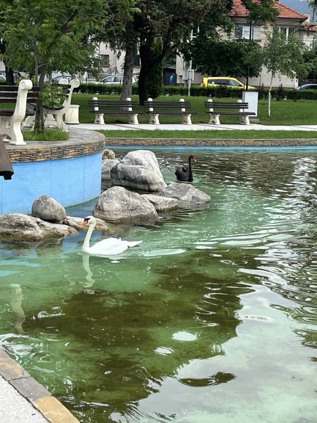 Фото 1 от Larisa Z. об аренде Chevrolet Aveo в Болгарии (20.06.23)