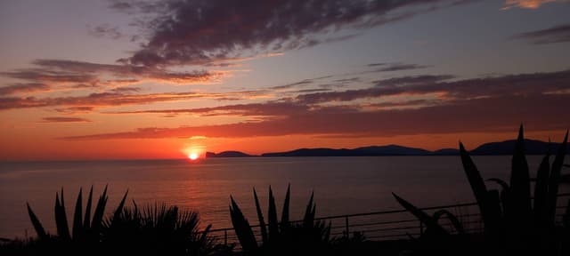 Photo 8 by Rafael S. about renting a Peugeot 208 at Alghero Fertilia Airport (12/24/23)