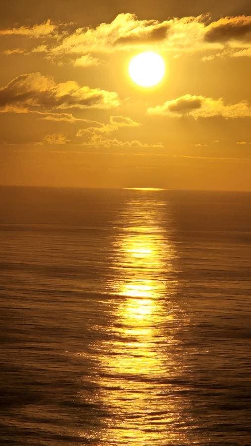 Photo 3 by Carlos Jose D. (11/16/25)