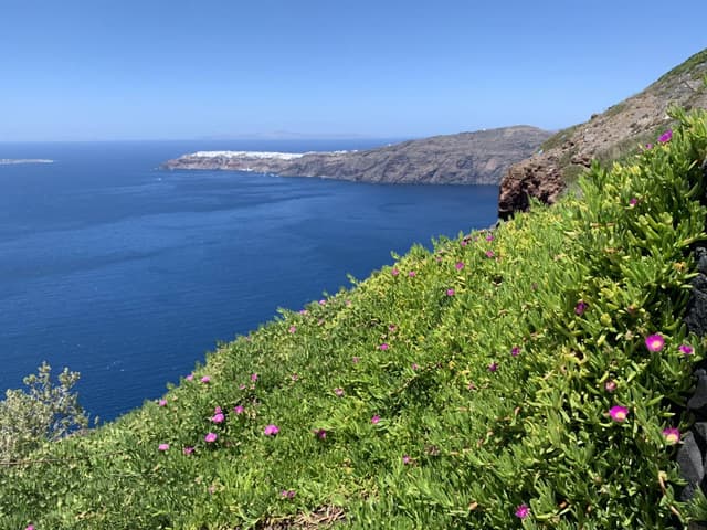 Photo 4 by Dan O. about renting a Nissan Micra in Santorini (5/17/24)
