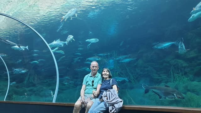 Foto 4 de Domingos S. (23/03/25)