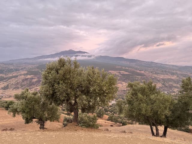 Foto 2 van Mohamed F. (29-10-25)