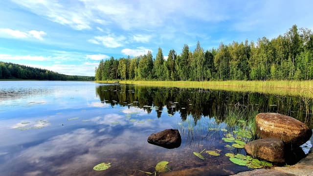 Zdjęcie 2 wykonane przez Dominik S. dotyczące wynajmu Volkswagen Polo w na Lotnisku Tampere-Pirkkala dnia (28.08.23)