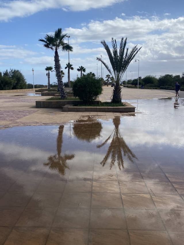 Photo 1 par Taoufiq T. (01/11/24)