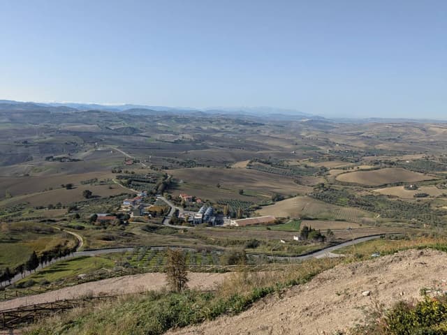 Photo by Stuart N. (12/4/24)