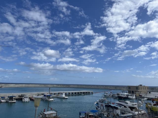 Photo 4 by Michelle M. (4/10/26)