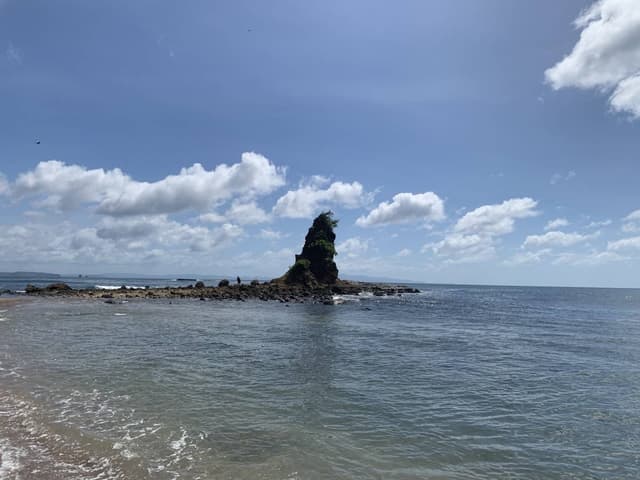 Photo 6 by Michal G. (11/15/25)