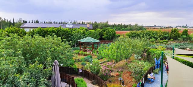 Фото 5 от Vladimir B. об аренде Hyundai i10 в аэропорту Ларнака (15.05.24)