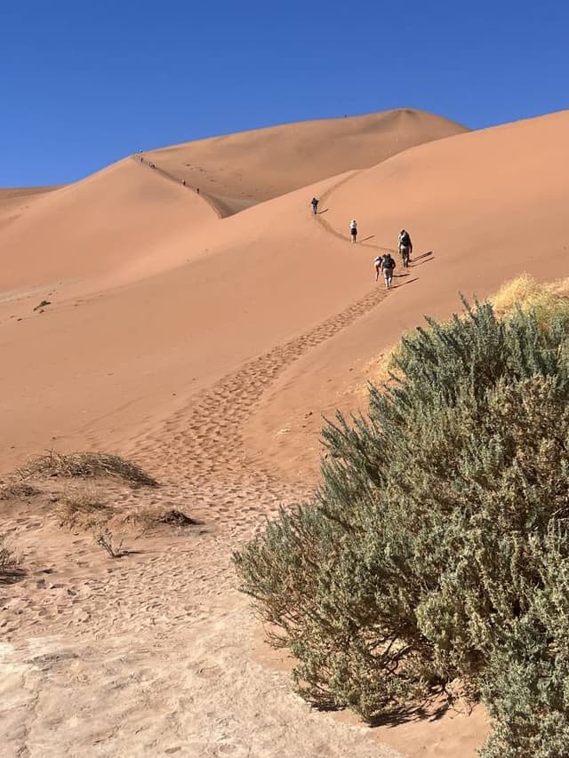 Photo 3 by Kathleen T. about renting a Toyota Hilux in Windhoek (8/29/24)