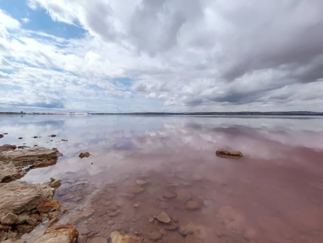 Photo 2 by Natalie L. about hiring a Seat Ibiza in Alicante (22/09/24)