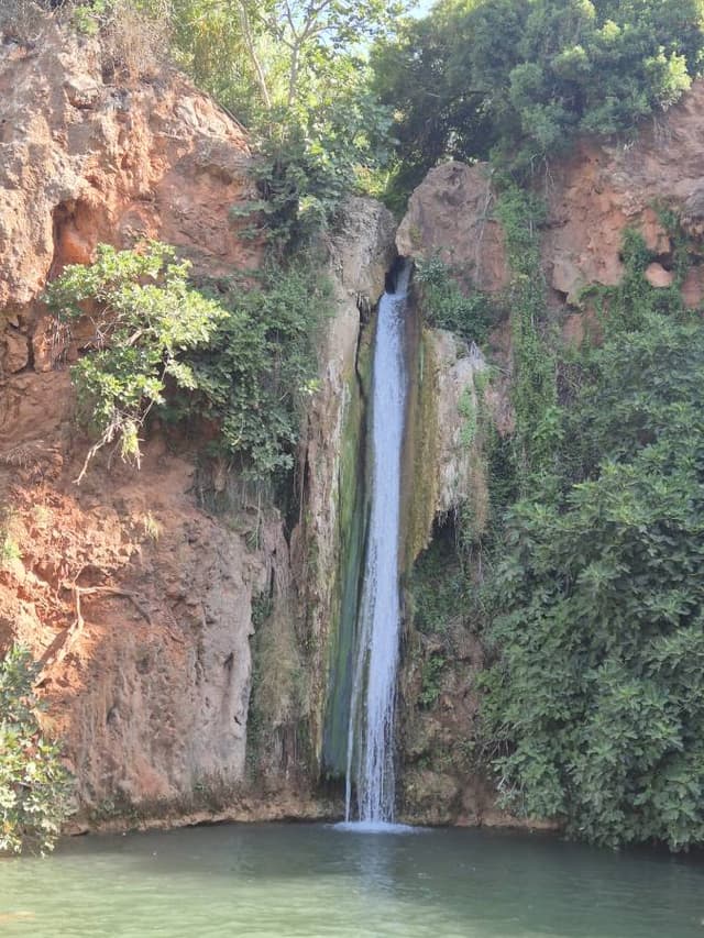 Photo 1 par DAVID A. (21/08/25)