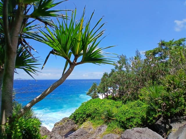 Foto 1 van Dionne V. (29-1-26)