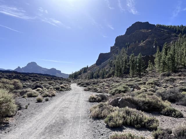 Foto 2 van Tom V. (12-11-25)