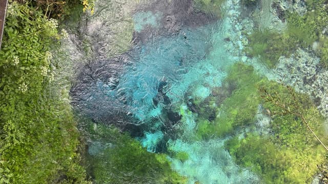 Foto 4 av Peter W. (25-11-02)