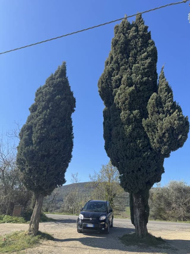 Istvan F. fényképe (26. 04. 07.)