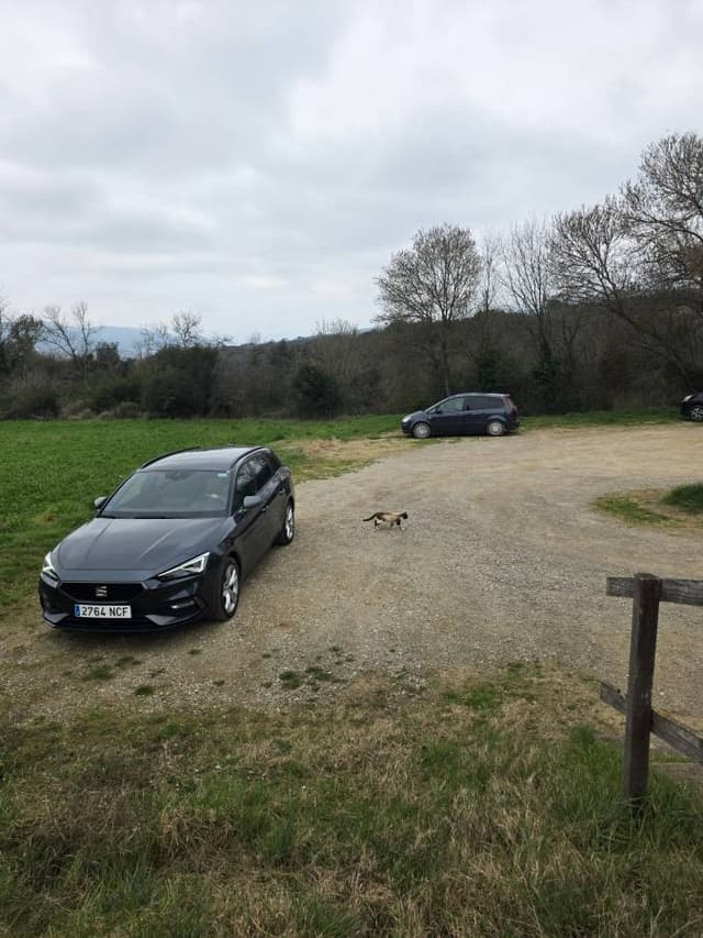 Foto de Violeta C. (5/3/26)