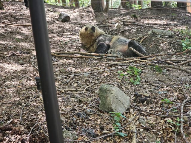 Foto 2 de Grigori B. (15/7/24)