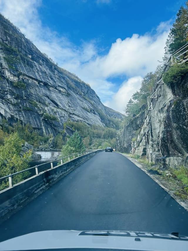 Bilde 2 av Vibeke S. (16.9.24)