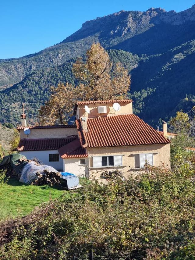 Photo 2 by Elaine B. (11/24/25)