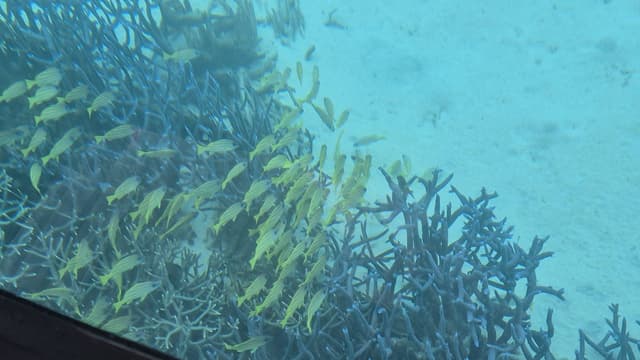 Photo 3 by Dylan L. about renting a Dacia Logan in New Caledonia (7/7/25)