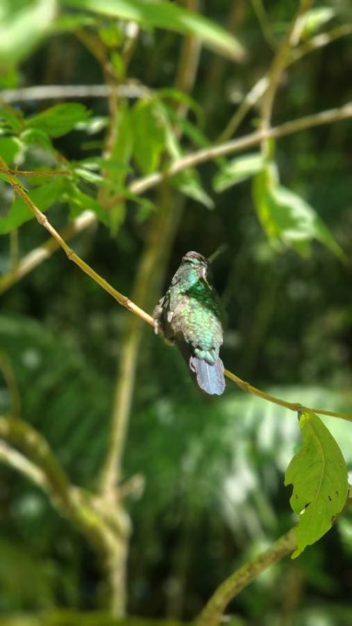 Photo 3 by Kirsty B. about hiring a Toyota Corolla Cross in Costa Rica (12.04.25)