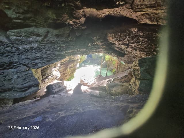 Photo 2 by Norman K. (3/3/26)