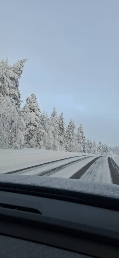 Foto 2 van Johannes M. (24-1-26)