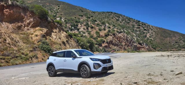 David E. fényképe (25. 07. 04.)