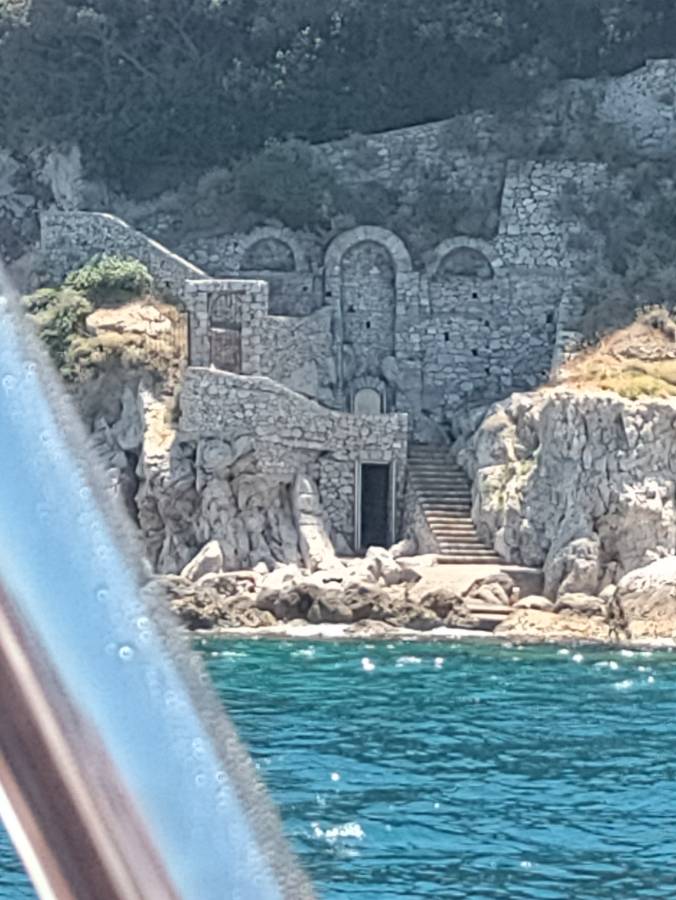 Photo 5 by Emma B. (7/8/24)