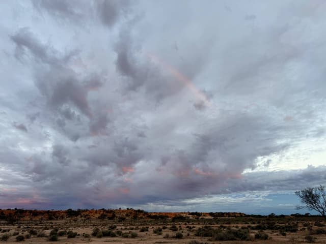 Photo 3 by Felicity H. (6/7/26)