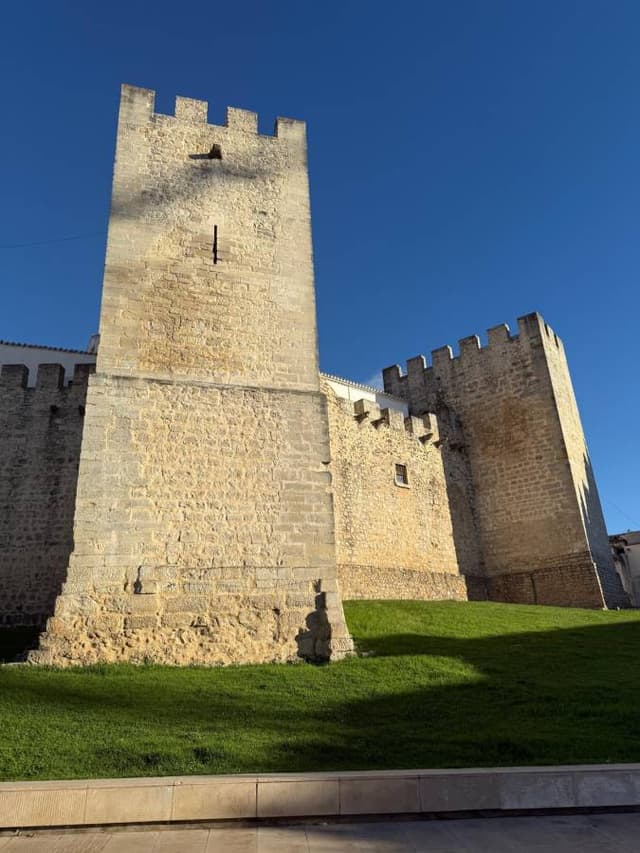 Foto 3 van petrus M. (25-10-25)