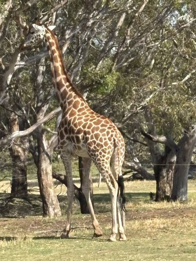 Photo 1 by Rodney C. (2/16/26)