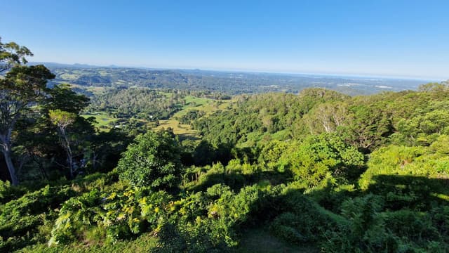 Henkilön Janika N. kuva 2 liittyen auton Nissan X-Trail vuokraamiseen paikassa Gold Coastissa (25.3.23)