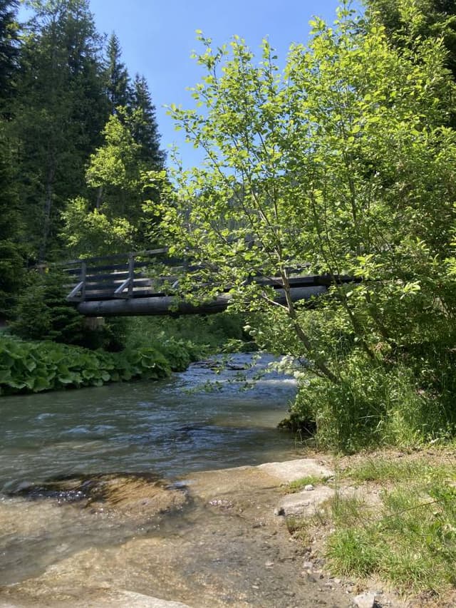 Photo 2 by Ester K. about renting a Toyota Aygo in Vienna (6/16/23)