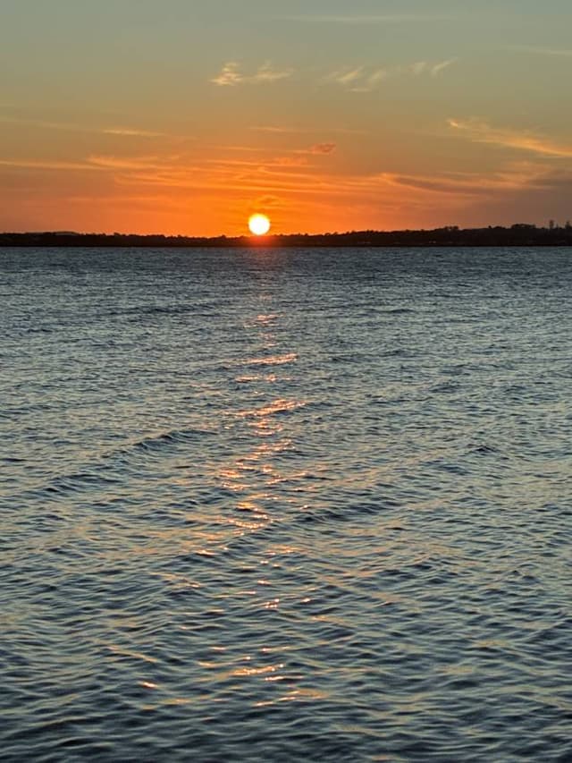 Photo 2 by Ricardo G. (10/24/25)