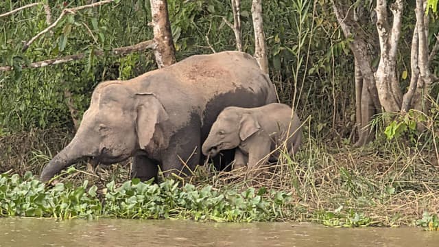 Photo 3 by Cornelis V. (3/29/26)