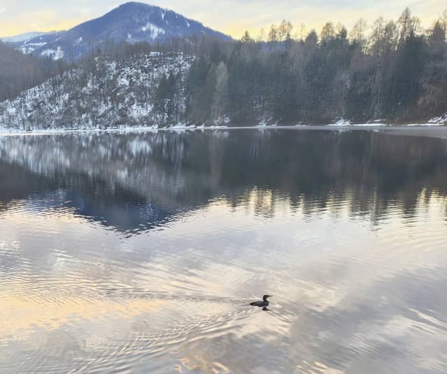 Foto 2 di Marcello V. (26/02/26)