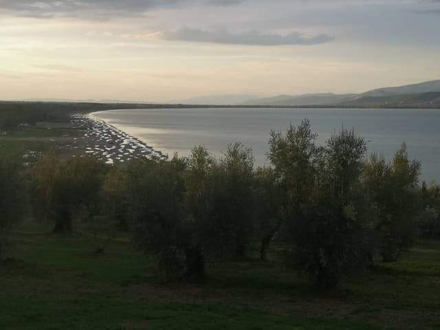 Photo by John T. about renting a Fiat 500 in Rome (9/30/24)