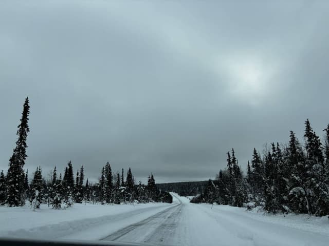 Photo 2 by Igor B. (3/11/26)