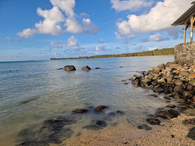 Photo 2 by Razvan Claudiu I. about renting a Suzuki S-Presso in Mauritius (11/16/24)