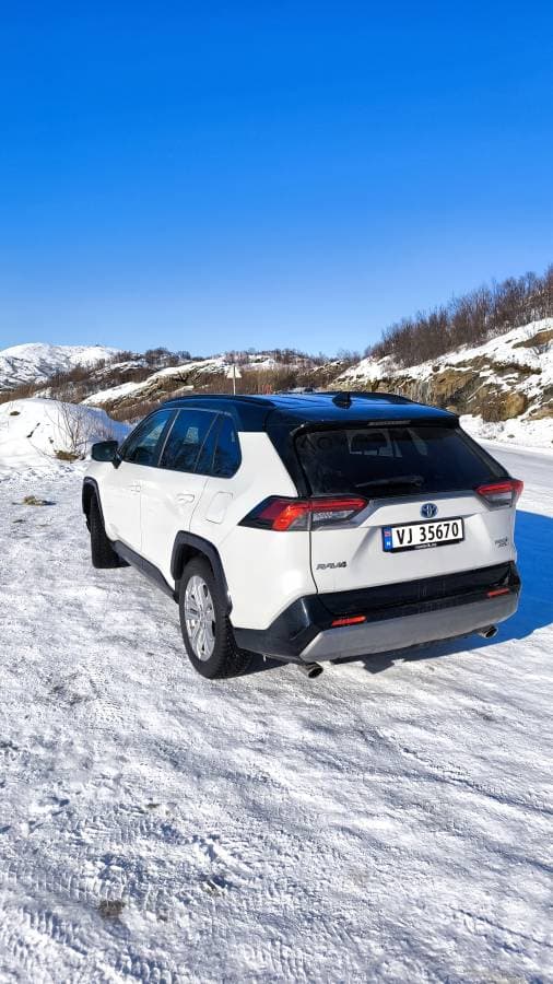 Photo by Alina W. (3/15/25)