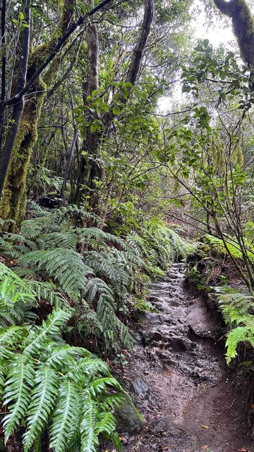 Billede af Neklas B. (1/24/23)