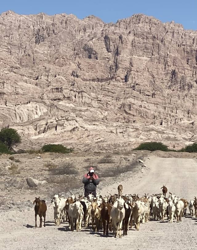 Photo 7 by Peter J. (11/5/25)