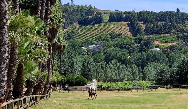 Foto 8 van Jelle J. (2-12-25)