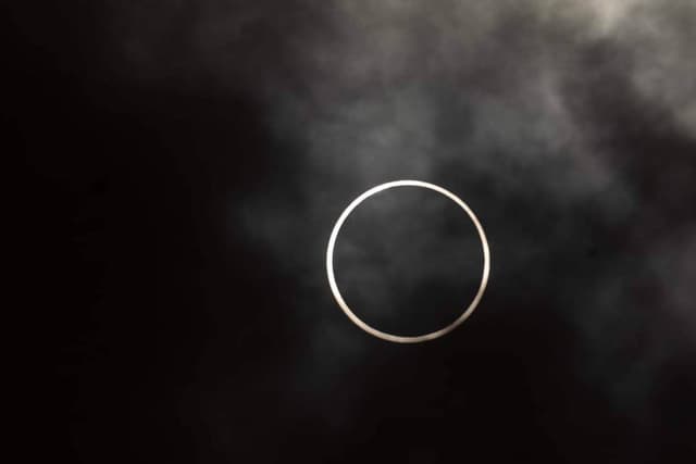 Photo by Meena H. (10/20/23)