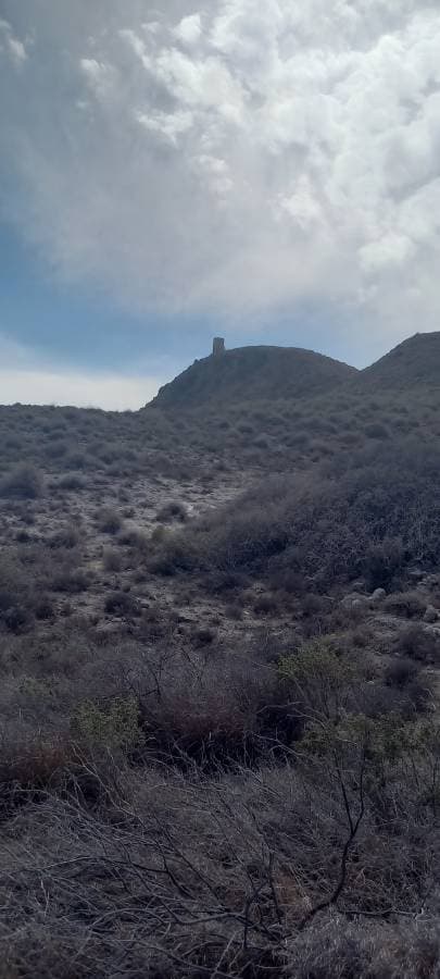 Photo 2 by Zoe H. about hiring a Toyota Aygo at Almeria Airport (15.09.24)