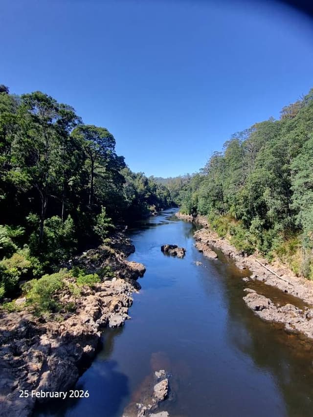 Photo 3 by Norman K. (3/3/26)